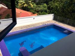 Turf Club Road (D11), Detached #470862681